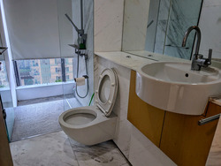 Newton Suites (D11), Apartment #519438811